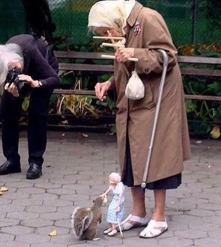 This woman uses a puppet to feed squirrels in the park
