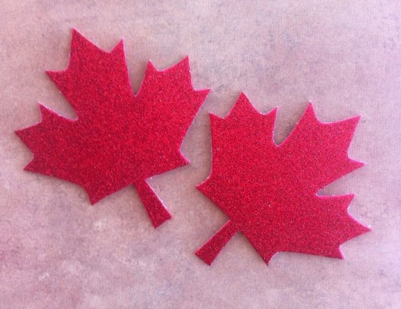 Just ordered some glittery Maple Leaf pasties off Etsy for the occasion! 😍 https://t.co/v9d1vIkb6W