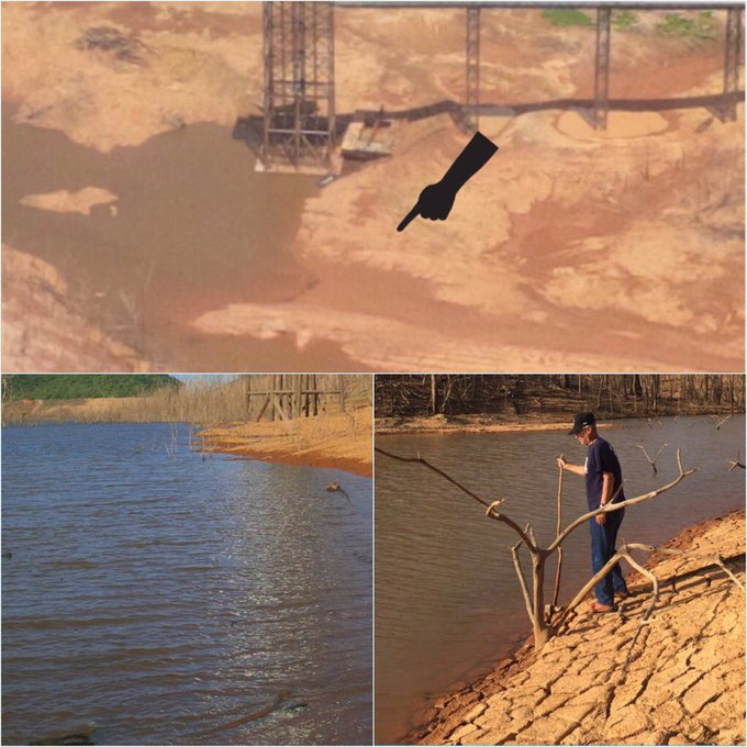 View image on Twitter