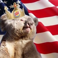 KoalasDaily's tweet photo. Screw Hilary, screw Trump.. Koala for president!! 🐨🇺🇸 https://t.co/EbnFSq9s26