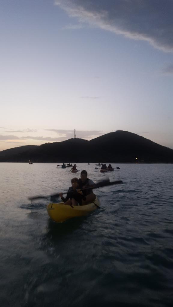 papayodivers's tweet photo. Kayak tour...
BioBay
https://t.co/Ytv9JHchmX
787-951-3014
787-808-0077 https://t.co/ooDg0Dmm7B