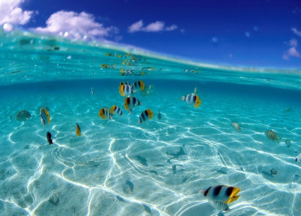 Bella_Celesta's tweet photo. @LifeOfAMermaid @ItsNovaLove1 Under the sea is were I belong... #thesecretlifeofamermaid https://t.co/Vsq9d9N119