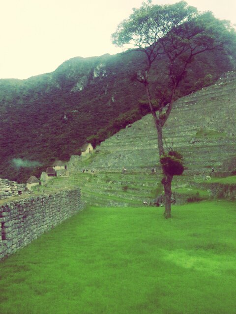 HeidiMarcelo's tweet photo. HERMOSO LUGAR 
#PERFECTO #MACCHUPICCHU #CUSCO https://t.co/QQCh1jT8CJ