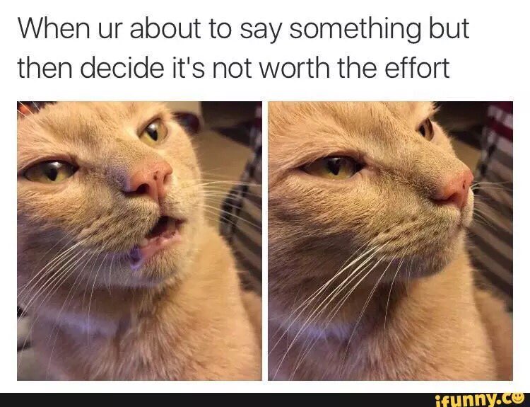 MemesNationUSA's tweet photo. Me everyday #memes #MemesNationUSA https://t.co/vmGJ7izbgJ
