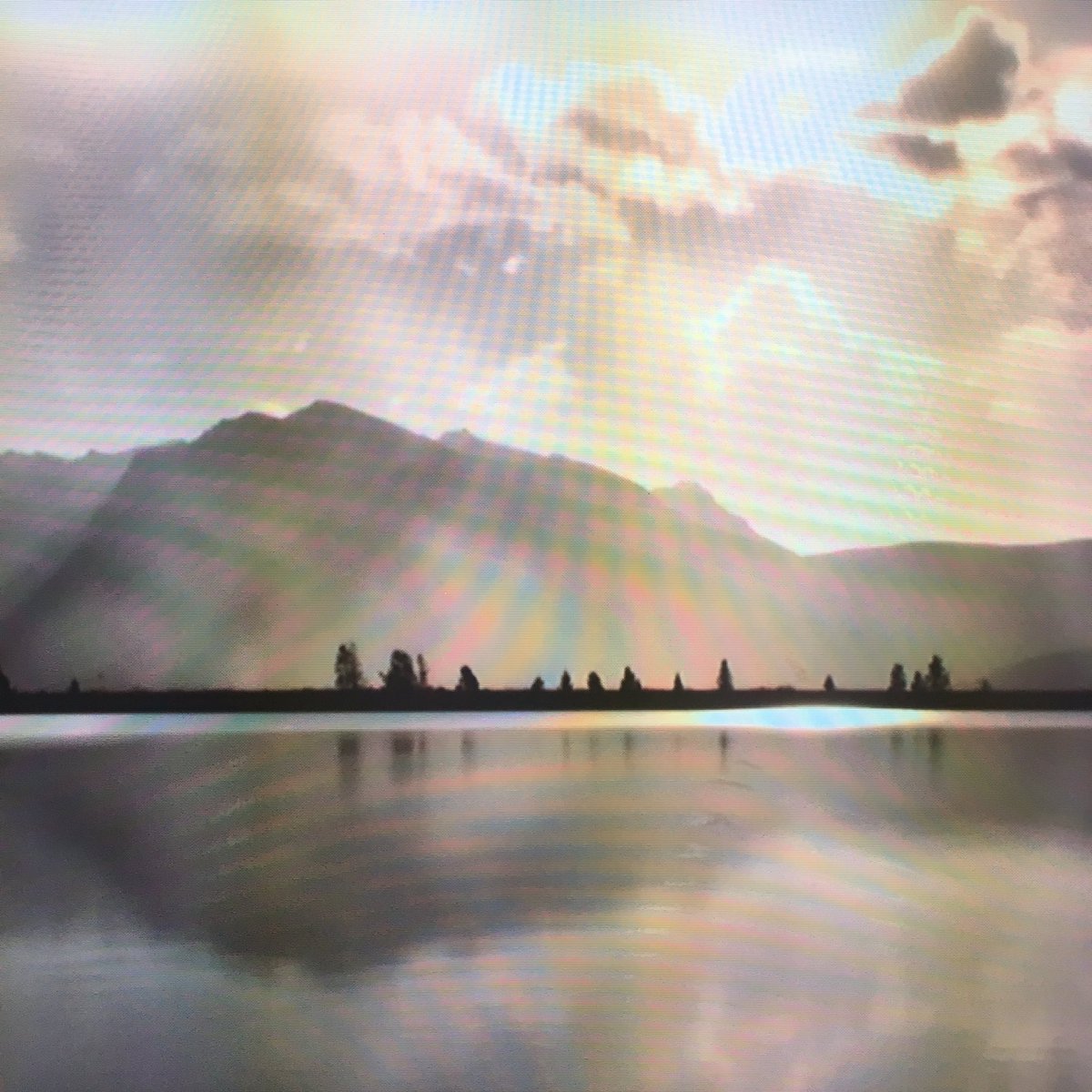 aliprazolamb's tweet photo. love the visuals from the ambient video installation #SeasonsII by Jim Bizzocchi et al at the #ELO16 exhibit https://t.co/3RF4aN6FNA