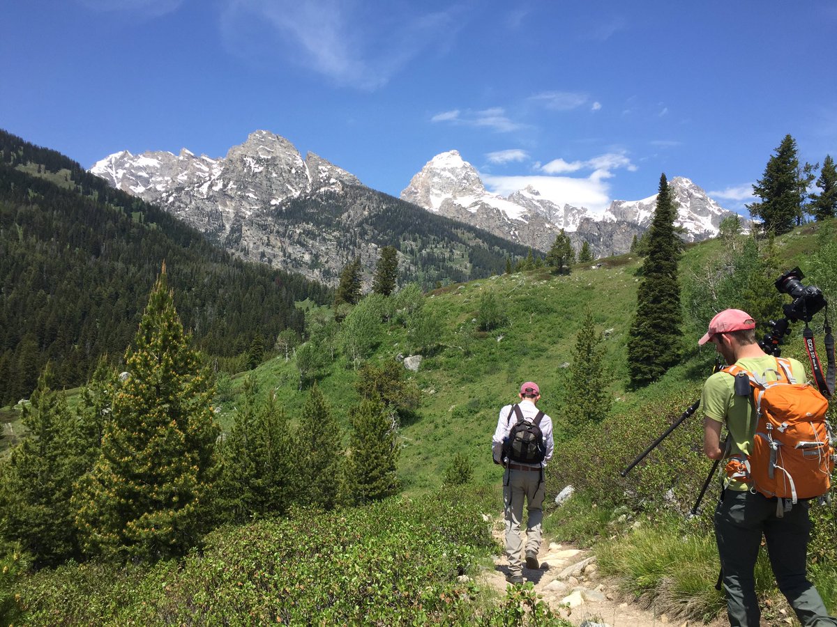 Will Pattiz tweet media