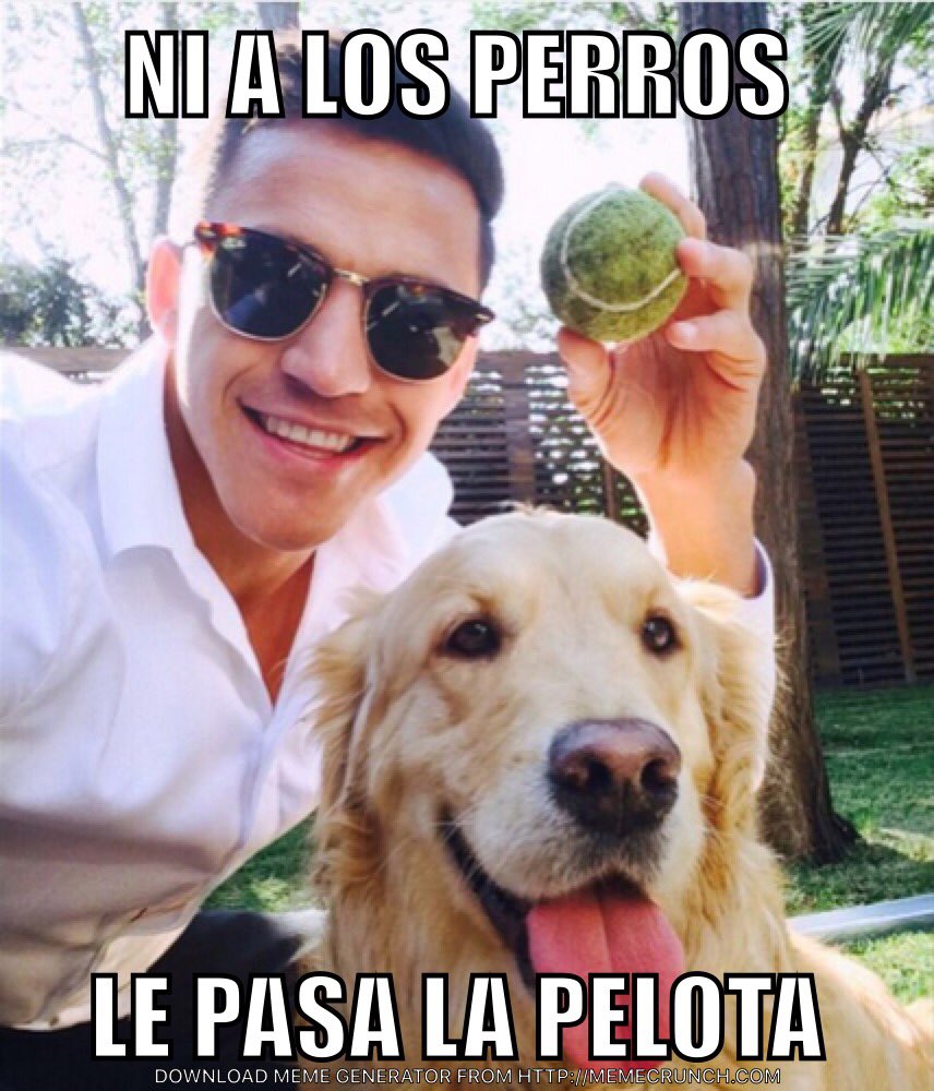 Roberto_Robles_'s tweet photo. Ni a los perros le pasa la pelota #sanchez #ChilevsBolivia #copa100 https://t.co/QewyMogSAP