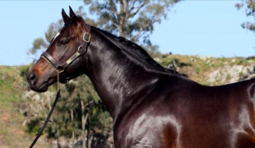 BorderBldstk's tweet photo. Weekend runners for #DUPORTH and #FASTNFAMOUS https://t.co/lMUYSWJneB Best of luck to all connections. https://t.co/NV5IOGtMuB