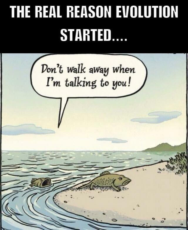 natwildprod's tweet photo. Evolution explained! #paleo #paleodiet #naturallywild @PaleoCafeOz Paleo Cafe Paleo Cafe https://t.co/Jb2tLDHzu5 https://t.co/IVSGXATHkO