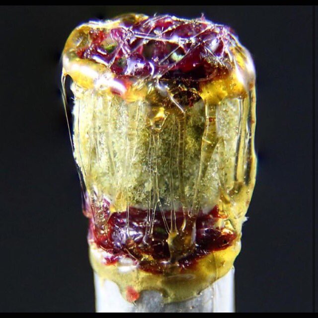 FlavoringGurus's tweet photo. Who would smoke this?!? Like if you would, like if you wouldn't, like just because you love to like...😉 #Fridayblaze https://t.co/yFDcZkirrV