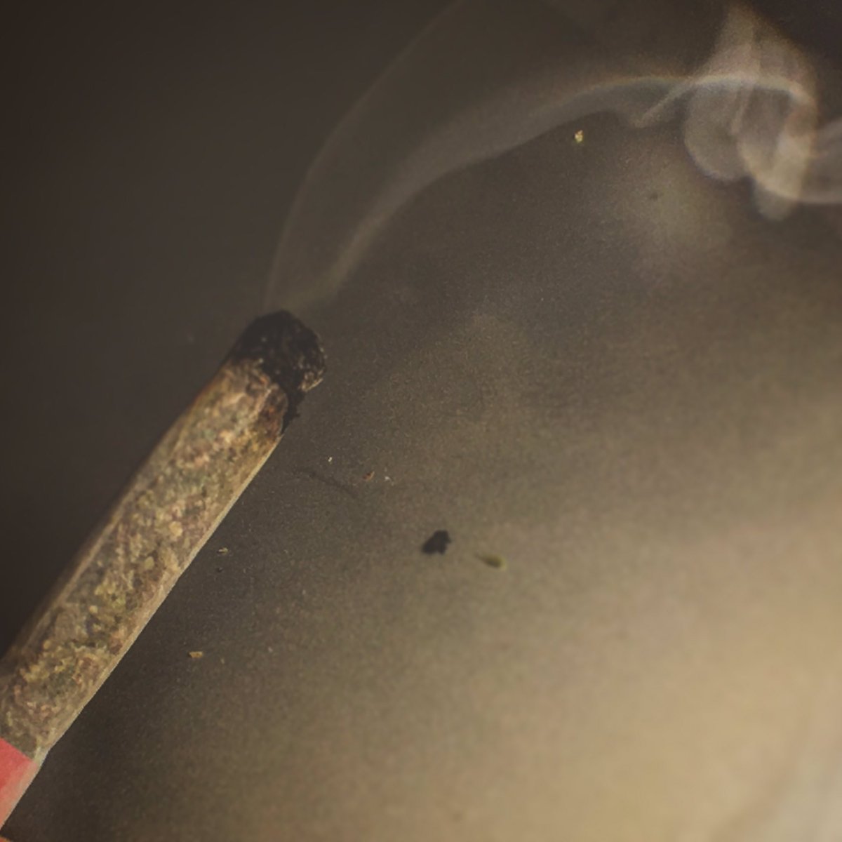 DoctorGrow420's tweet photo. En #Uruguay se fuma #faso #porro y en #futbol vamos por la #France #stonernation #dope #high #420 #ganja #cannabis https://t.co/8qRckujKGM