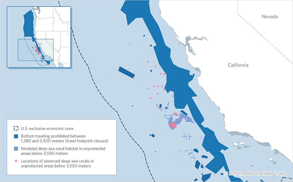 pewenvironment's tweet photo. This is a good first step toward protecting California’s vulnerable seafloor: https://t.co/n3ZpnNVNF6 https://t.co/SlWDofGcN0