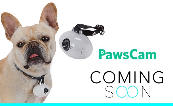 Now on <a href="/ComingSoon_Tech/">ComingSoon</a> | <a href="/PawsCam/">PawsCam</a> - A Smart, Wearable Camera for Your Dog u279C queue.social/7Zt2IMQ