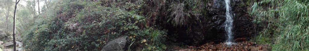 #Adelaide #mountlofty #waterfallgully <a href="/Australia/">Australia</a>