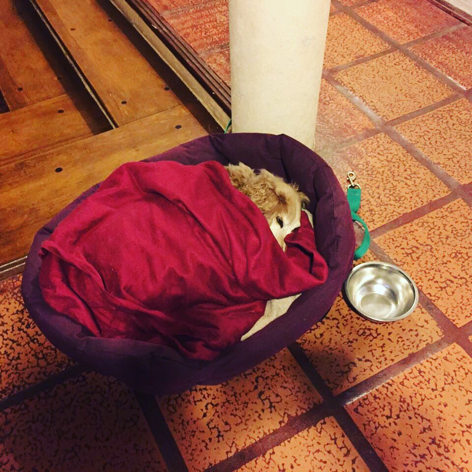 yFervazquez's tweet photo. ❤️❄️❤️ te amo https://t.co/1vgkam40xu