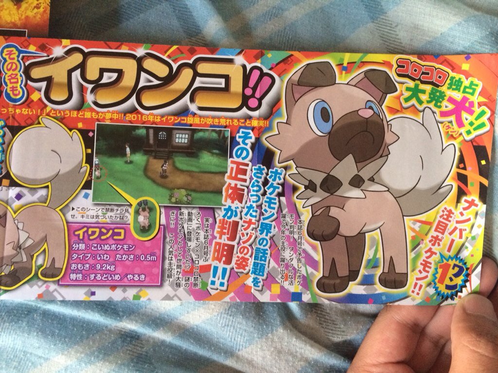 あずまるがお 今回のフラゲしてコロコロ見渡したけど 新ポケモンの情報は イワンコ ネッコアラ の2匹でした サンムーン楽しみですね あずまるがお 今回のフラゲしてコロコロ見渡したけど 新ポケモンの情報は イワンコ ネッコアラ の2匹でした サンムーン楽しみですね