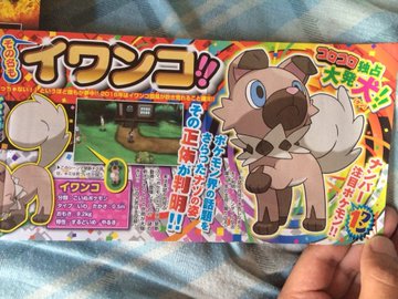 New Koala And Dog Pokemon Appear In Japanese Magazine Gametyrant