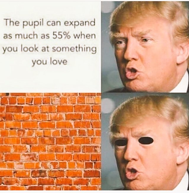 ApplauseHumor's tweet image. 