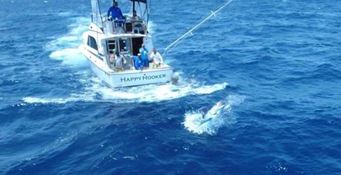 Cape Verdes - Capt. Eddy Lawler on Happy Hooker went 2-2 on Blue Marlin, including a 900.