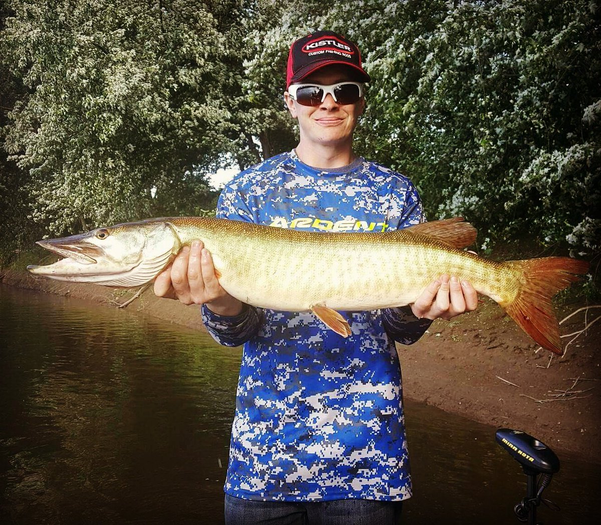 Musky from yesterday <a href="/ArdentReels/">Ardent Reels</a> <a href="/Kaenon/">KAENON</a> <a href="/bigbassnailer/">Musky Angler</a> <a href="/muskiemax/">MUSKIE MAX Expo</a> <a href="/PA_MuskyFishing/">PA Musky Fishing</a> <a href="/SuskyRiverFishi/">Susky River Fishin</a> @IFLFishing