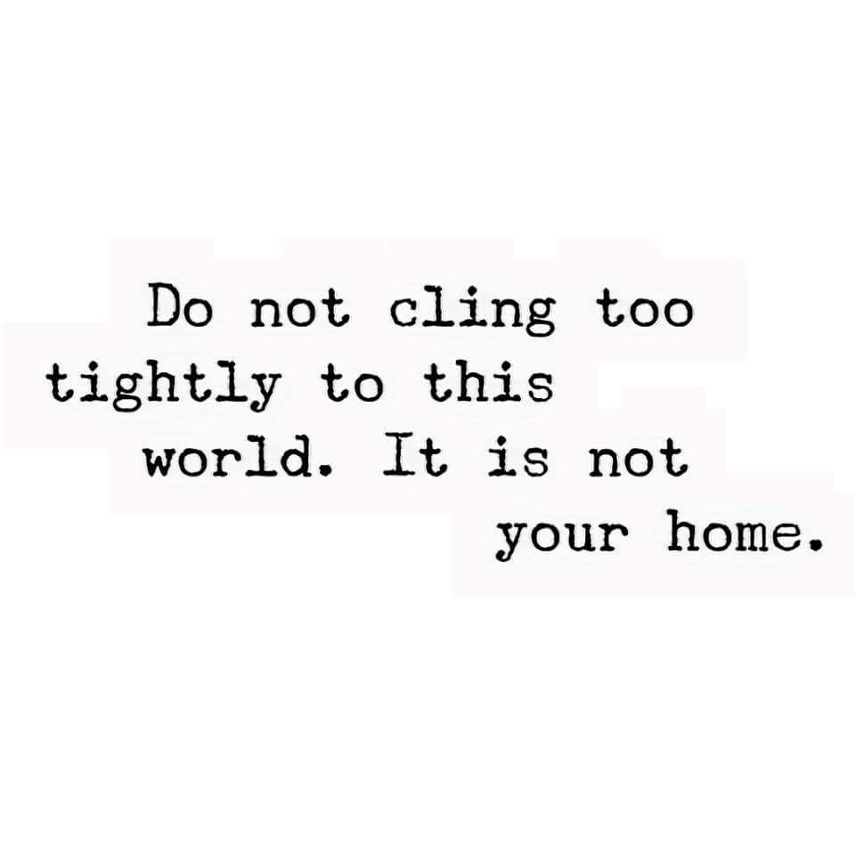 LynnRods's tweet photo. https://t.co/IVoJWgkUx7