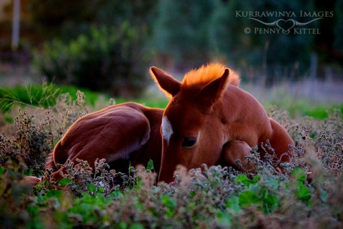 Outback Creative tweet media