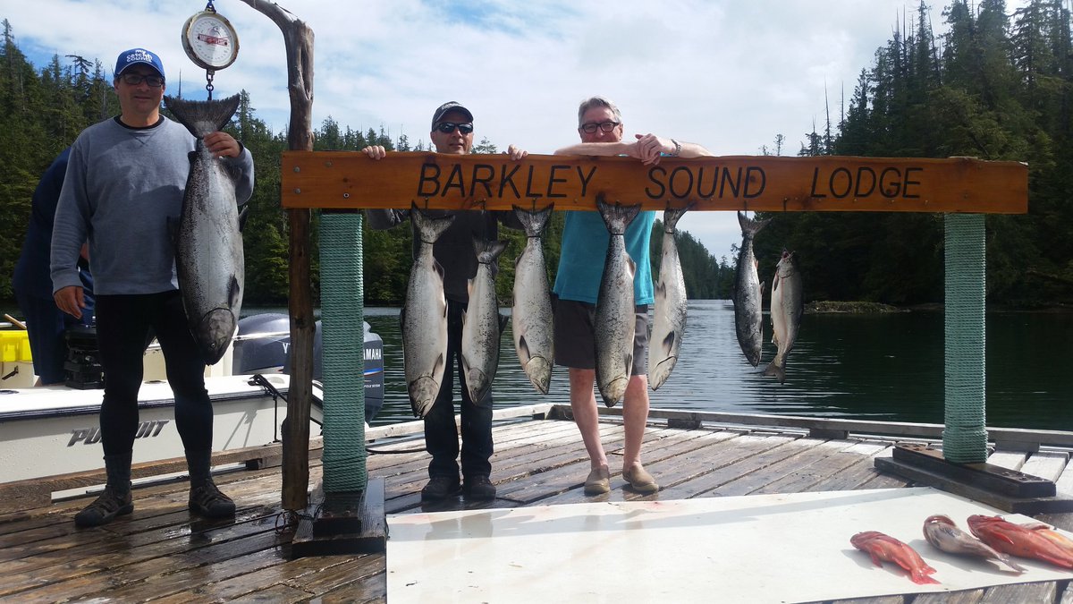 First tyee of the year at Barkley Sound Lodge. 31lbs. #tyee #wootwoot