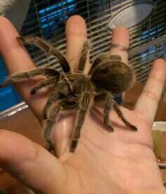 my Elvira xoxo https://t.co/csj7WjAuo2<a href="/tag/tbt"class="tags"><span>#tbt</span></a>