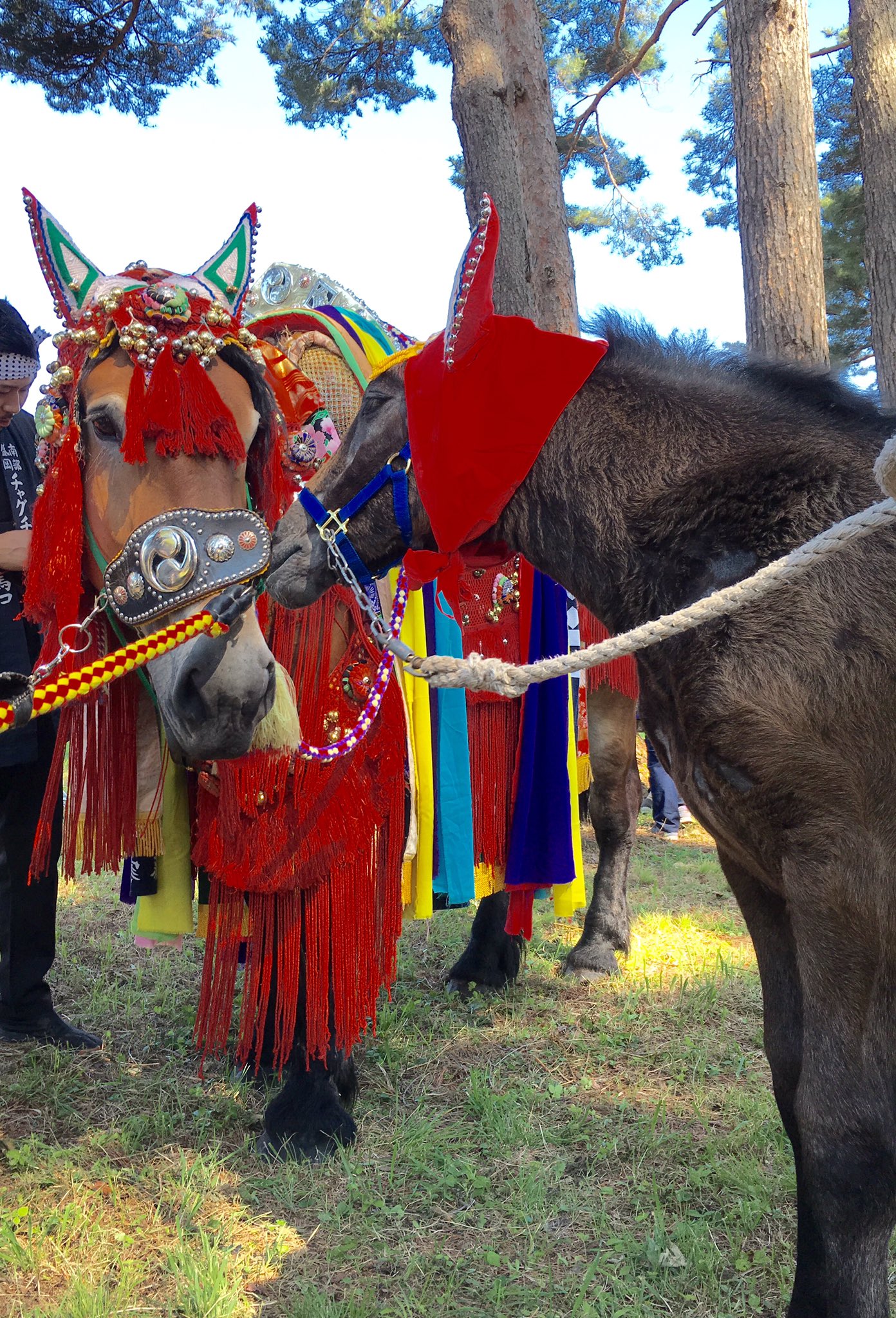 振鼓でんでん子 チャグチャグ馬コは日頃の農耕馬への感謝をこめて鬼越蒼前神社で馬の無病息災を祈願したお祭 装束は大名行列で献上品を積んだ馬を守る 小荷駄装束 に由来していて 役目を終えご褒美に譲られた装束をお参りに着せたと地元の方に伝わって 振鼓でんでん子 チャグチャグ馬コは日頃の農耕馬への感謝をこめて鬼越蒼前神社で馬の無病息災を祈願したお祭 装束は大名行列で献上品を積んだ馬を守る 小荷駄装束 に由来していて 役目を終えご褒美に譲られた装束をお参りに着せたと地元の方に伝わって