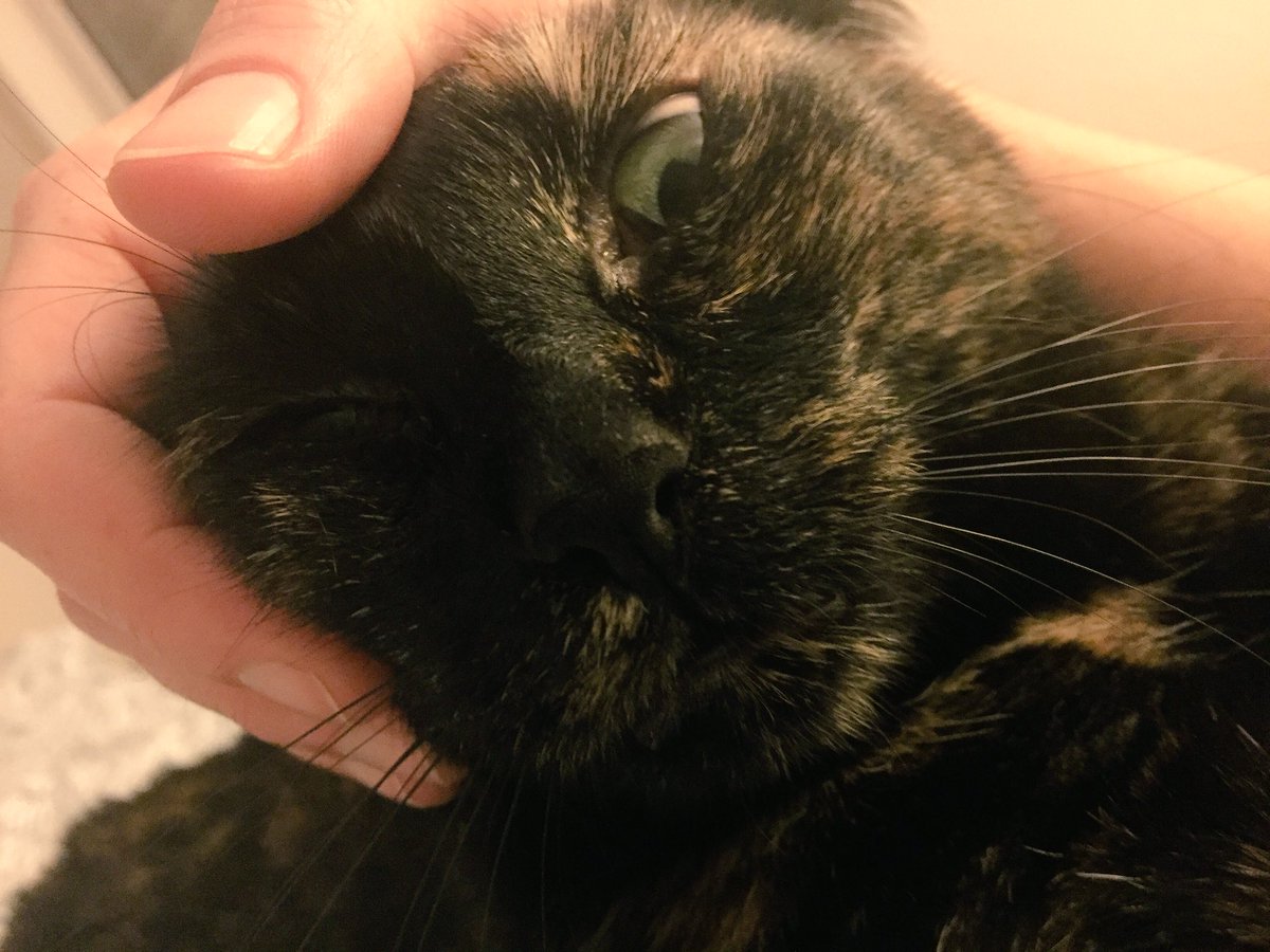 Äh...geht's noch?! Der Mensch denkt auch, er kann alles mit mir machen...