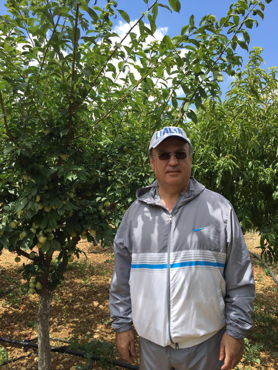 wiamwahhab's tweet photo. اليوم برفقة الطبيعه . الأرض هي الوحيده التي اذا اعطيتها تعطيك اكثر 🌲🌳🌾 https://t.co/l763NnBHDI