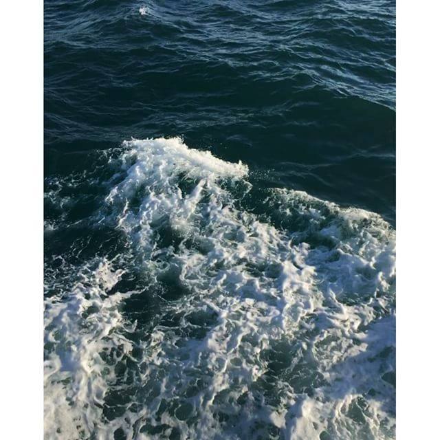 newvscoturkey's tweet image. #HappySaturday 🌊
Havalar biraz daha güzel olsa vapur keyfi tam anlamıyla harika olacak İstanbul'da 😇🙏🏼
#vapuring
#i…