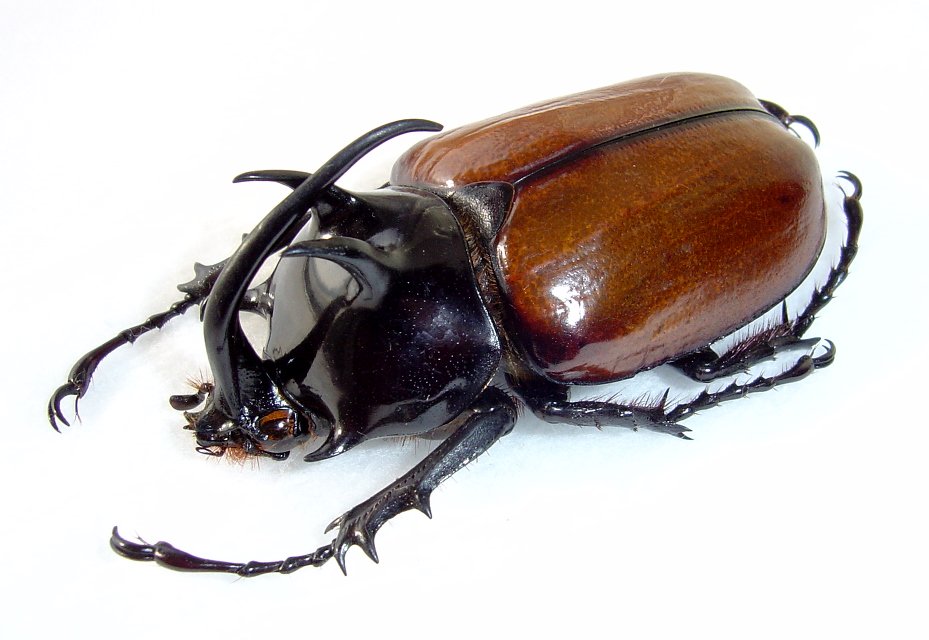 CkqEqmVUUAA_Mu5.jpg?format=jpg