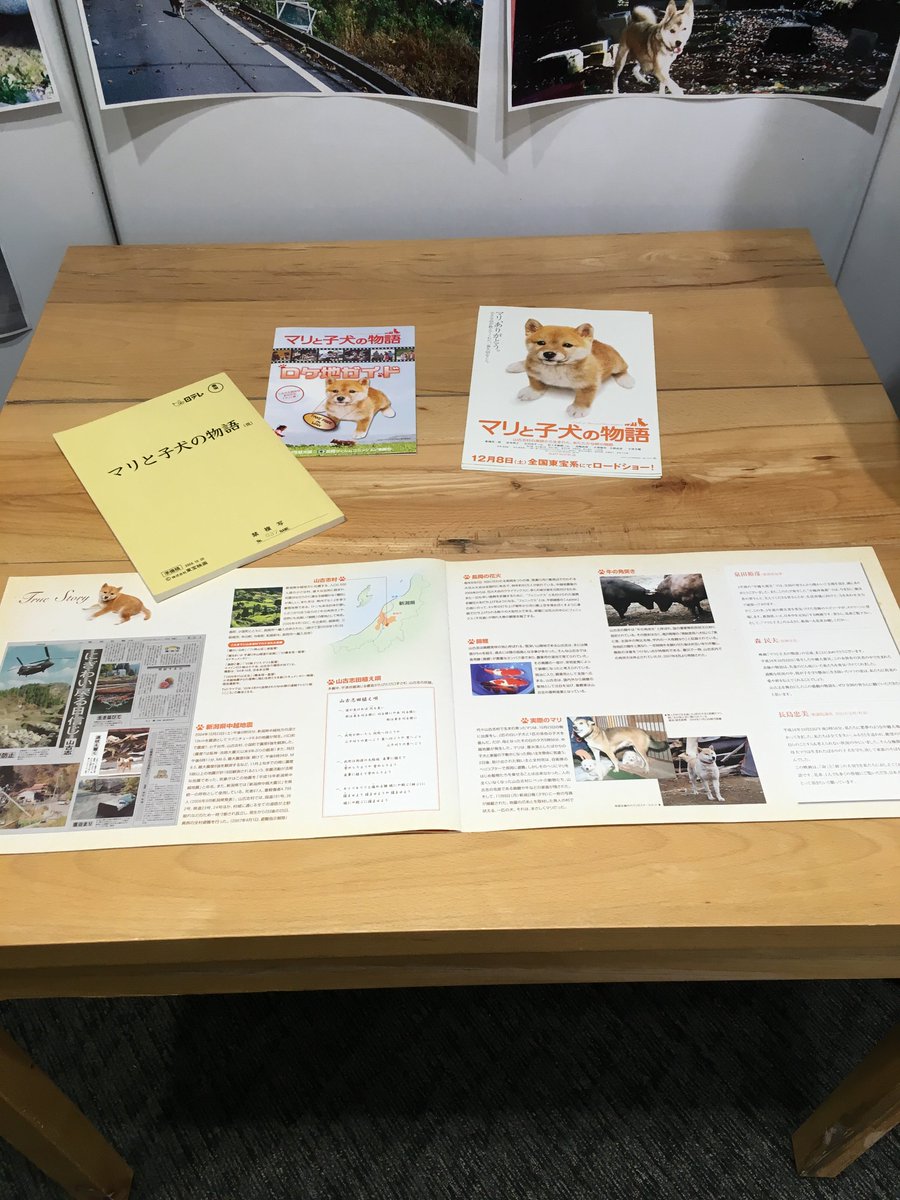 感動映画 マリと子犬の物語 他絵本にもなった山古志村の犬死ぬ 家族愛と復興 の象徴でした 2ページ目 Togetter