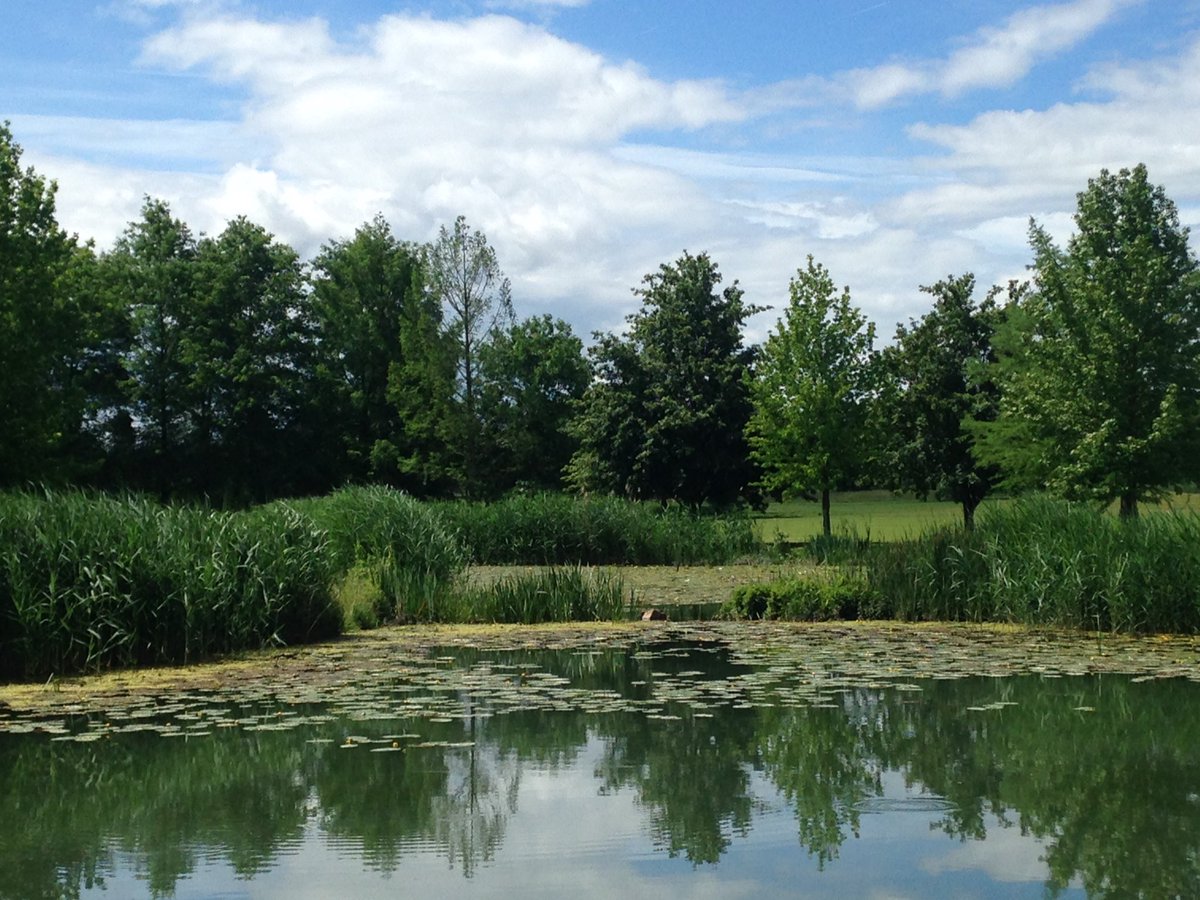 Cecile Sabatier tweet media