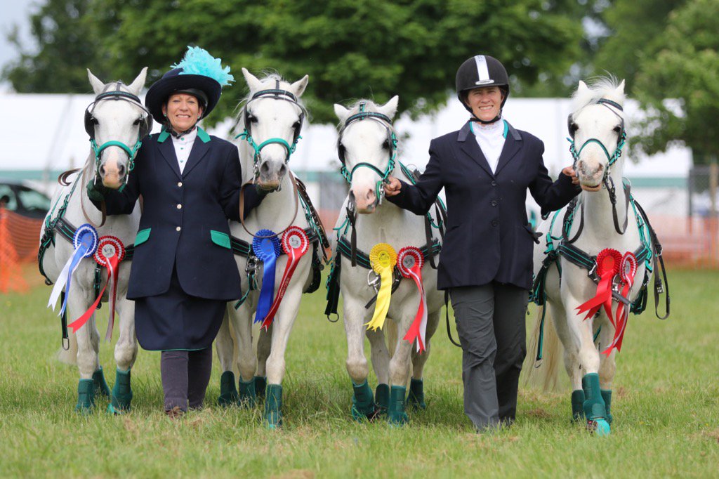 A great day @seas_org winning my <a href="/hoystweet/">Horse of the Year Show</a> place and getting lots of rosettes.