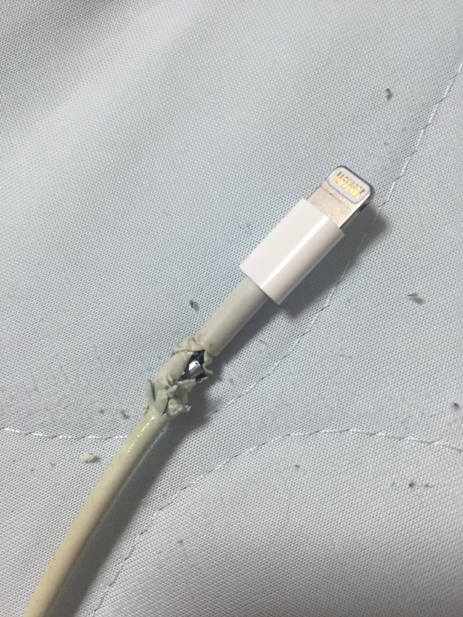 Cross Pa Twitter 俺のiphoneの充電器が腐るように壊れた ゴムがねちょねちょ してて気持ち悪い W