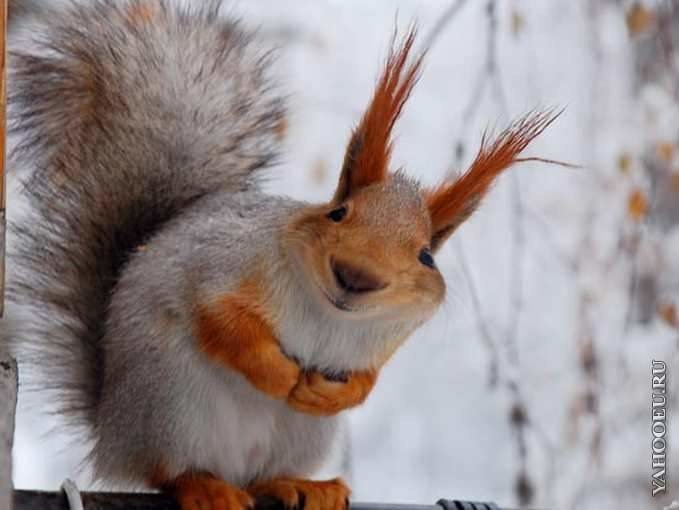 slowsquirrel's tweet photo. #slowsquirrel @slowsquirrel https://t.co/3uFn1KDAje
