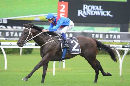 SamTaweets's tweet photo. #StableNews Excited to have secured LIBERTY ISLAND to race in Grand Syndicates silks!

Bruce Hill to train on the GC https://t.co/G5dHelmeCz