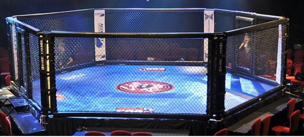 johnny_townend's tweet image. They should put one of these at the euros then anybody who wants to have a scrap can get in it #wasters