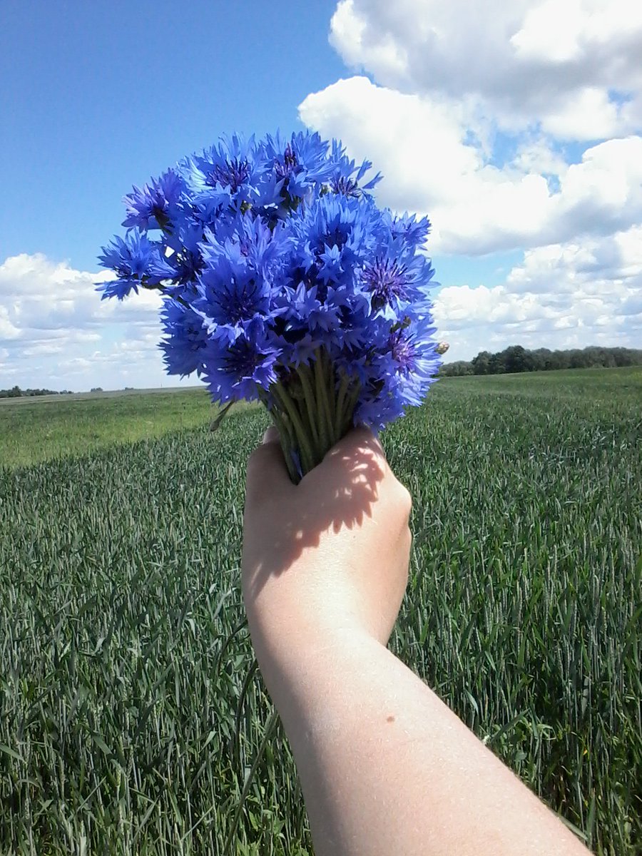 Лена есекке мас болды