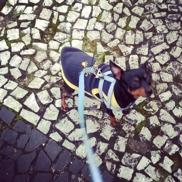 ester santos (@ester_santhos) on Twitter photo 