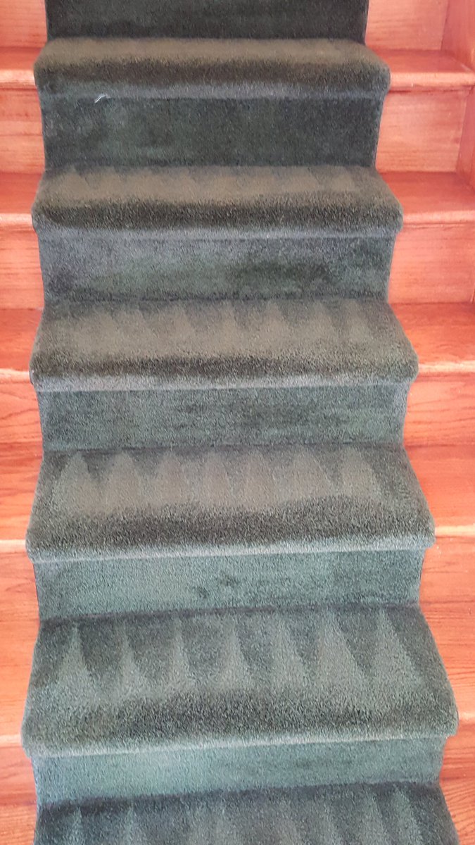 Carpet Medic (CarpetMedic1) Twitter