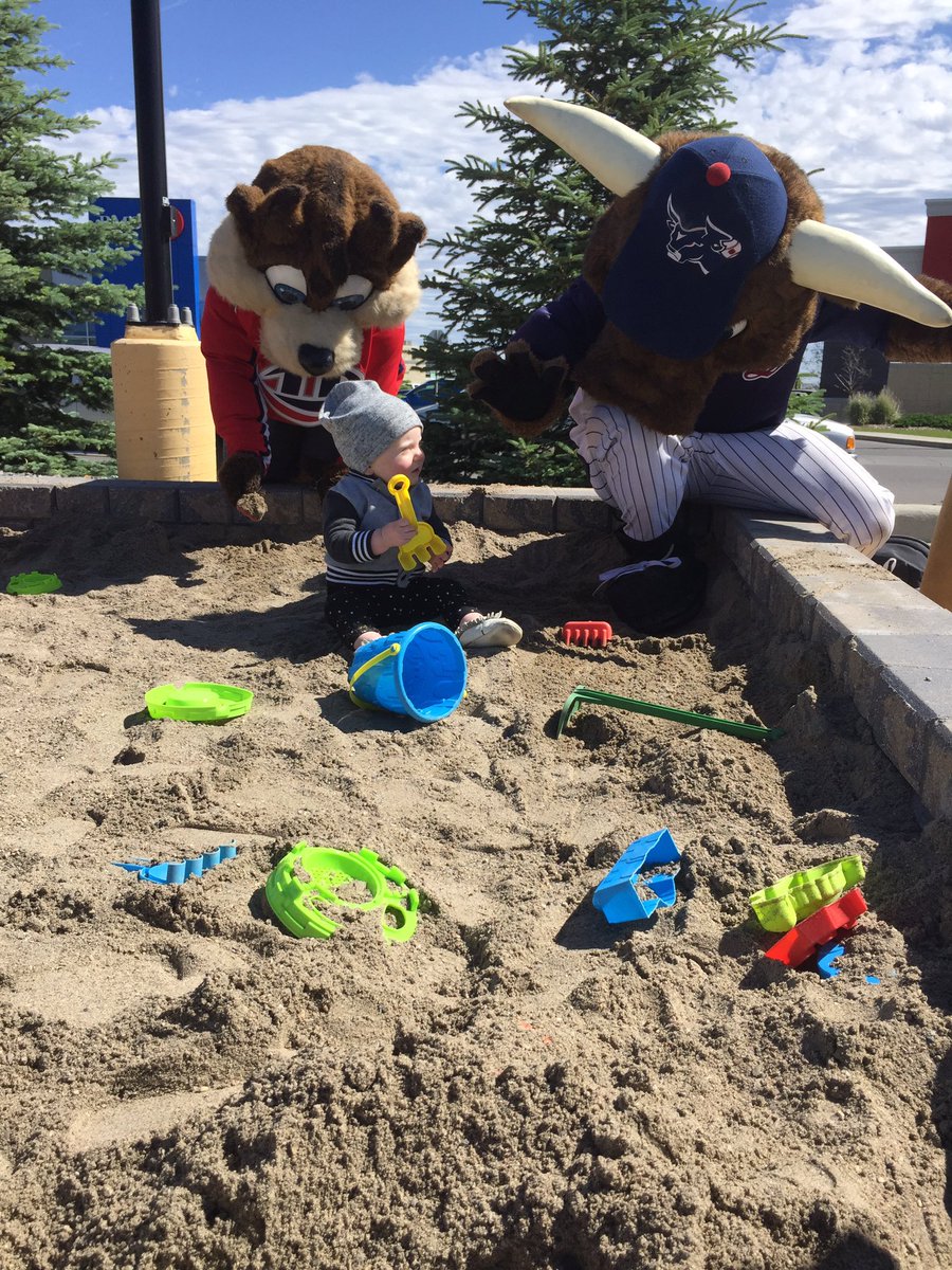 CanesTwister's tweet photo. OOOHHHHMMMIIIIGGGOOOSSSSHHHHH! A mascot sized sandbox! Thanks @saveonfoods having a blast at West Fest #YQL https://t.co/ffbQbosvZm
