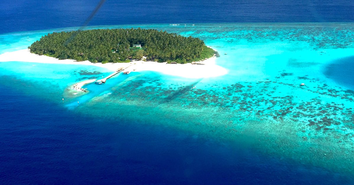 aaaVeeeMaldive's tweet photo. It's time to #aaaVeee 🇲🇻
99%Nature &amp; 99%Maldives 

Leading New Resort 2016
https://t.co/ZCexsyvqQd #NaturesParadise https://t.co/57TavPrqLM