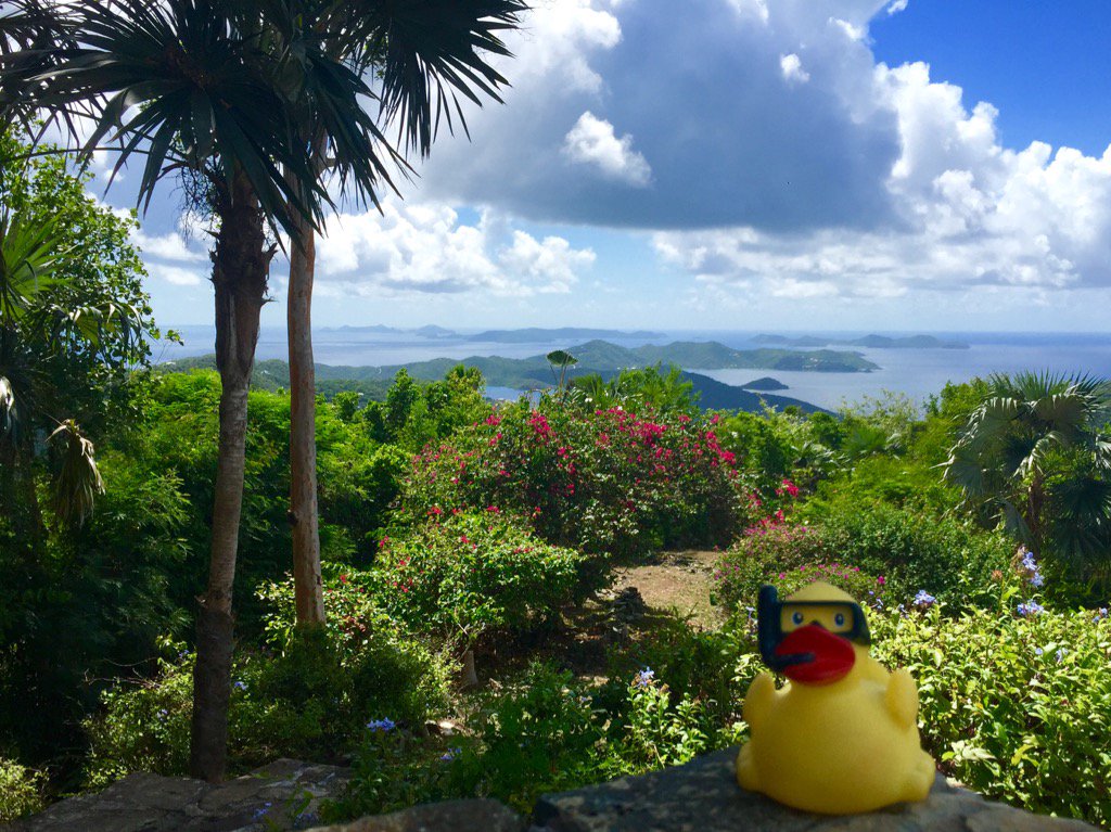 Awesome view at Mystic Ridge #snorkelduck #stjohnprovisions #stjohnusvi