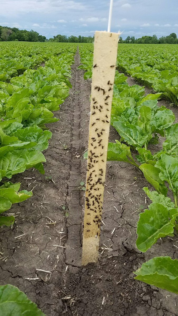 Paul Metzger tweet media