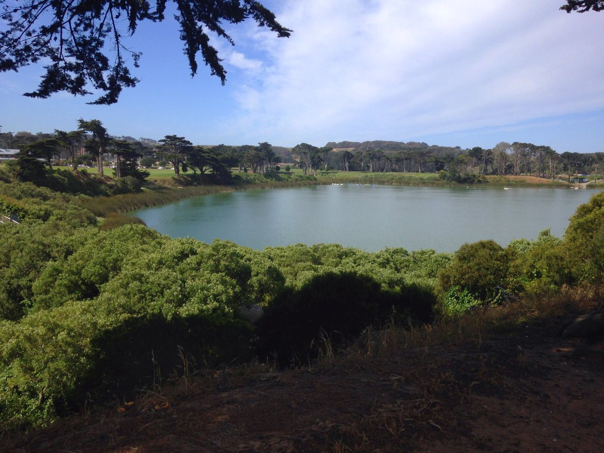 AzenithSmith1's tweet image. Great day for a run at #SanFrancisco's #LakeMerced Park for nonprofit Life Steps Foundation ! #gratitude #ktvu