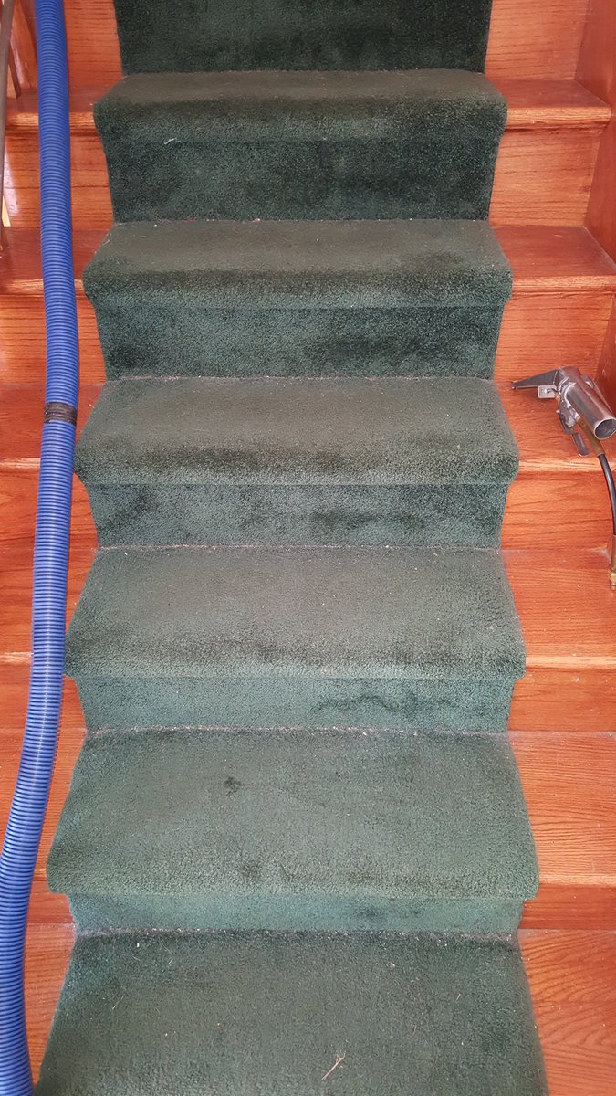 Carpet Medic (CarpetMedic1) Twitter