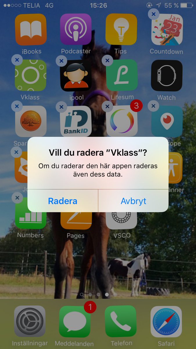 hennyhellstrom's tweet photo. Hur gött är inte det här på en skala då? Adios https://t.co/lRPcTllVgw